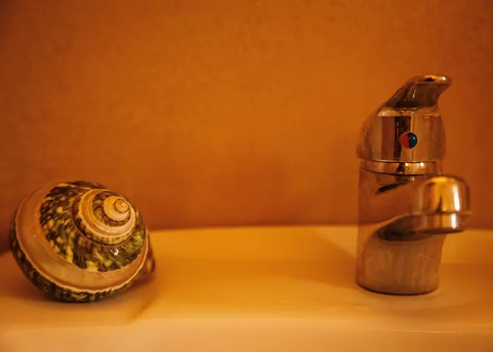 Eirene Mykonos וילה